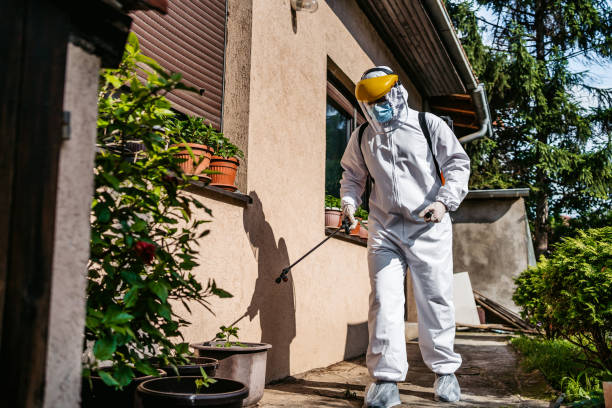 Best Flea Control Services  in Gainesville, TX