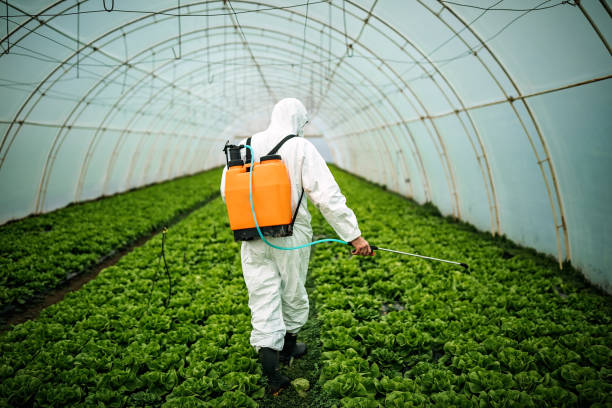Professional Pest Control in Gainesville, TX