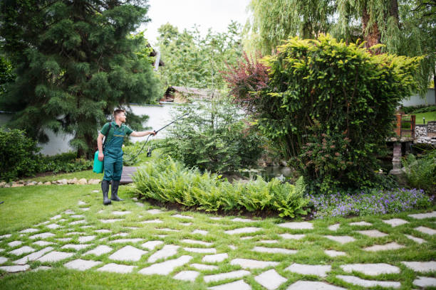 Best Local Pest Control Services  in Gainesville, TX