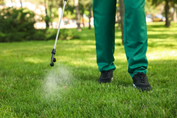 Best Affordable Exterminators  in Gainesville, TX