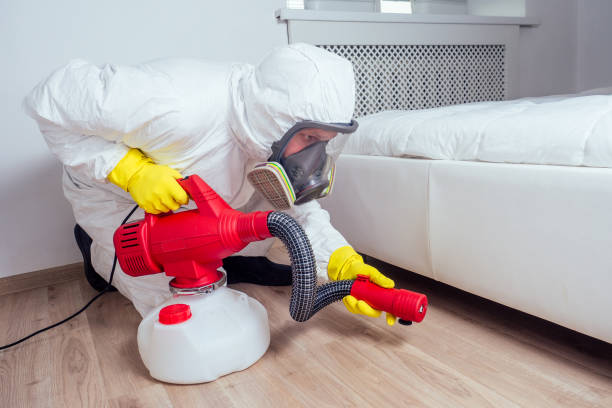 Best Cockroach Control Services  in Gainesville, TX