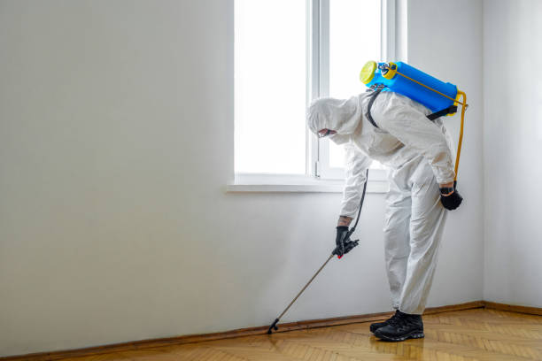 Best Pest Control for Homes  in Gainesville, TX