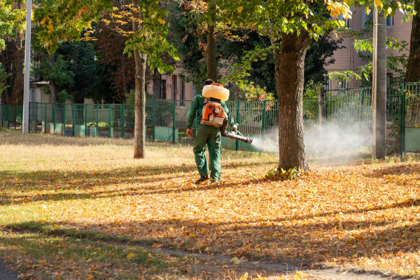 Wasp Removal Services in Gainesville, TX