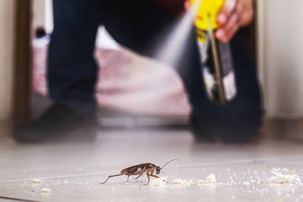 Best Residential Pest Control  in Gainesville, TX