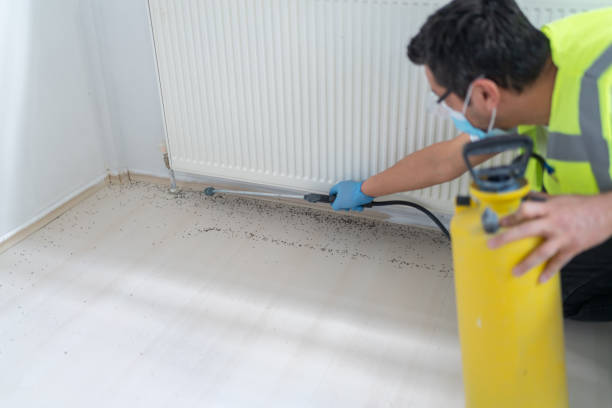 Best Termite Control Services  in Gainesville, TX