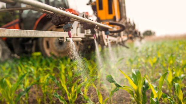 Best Mosquito Control Services  in Gainesville, TX