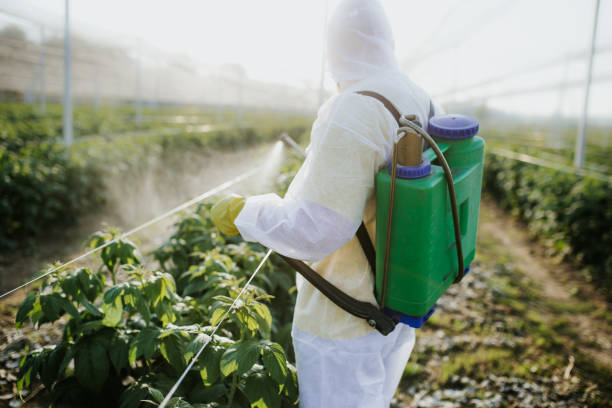 Best Commercial Pest Control Services  in Gainesville, TX